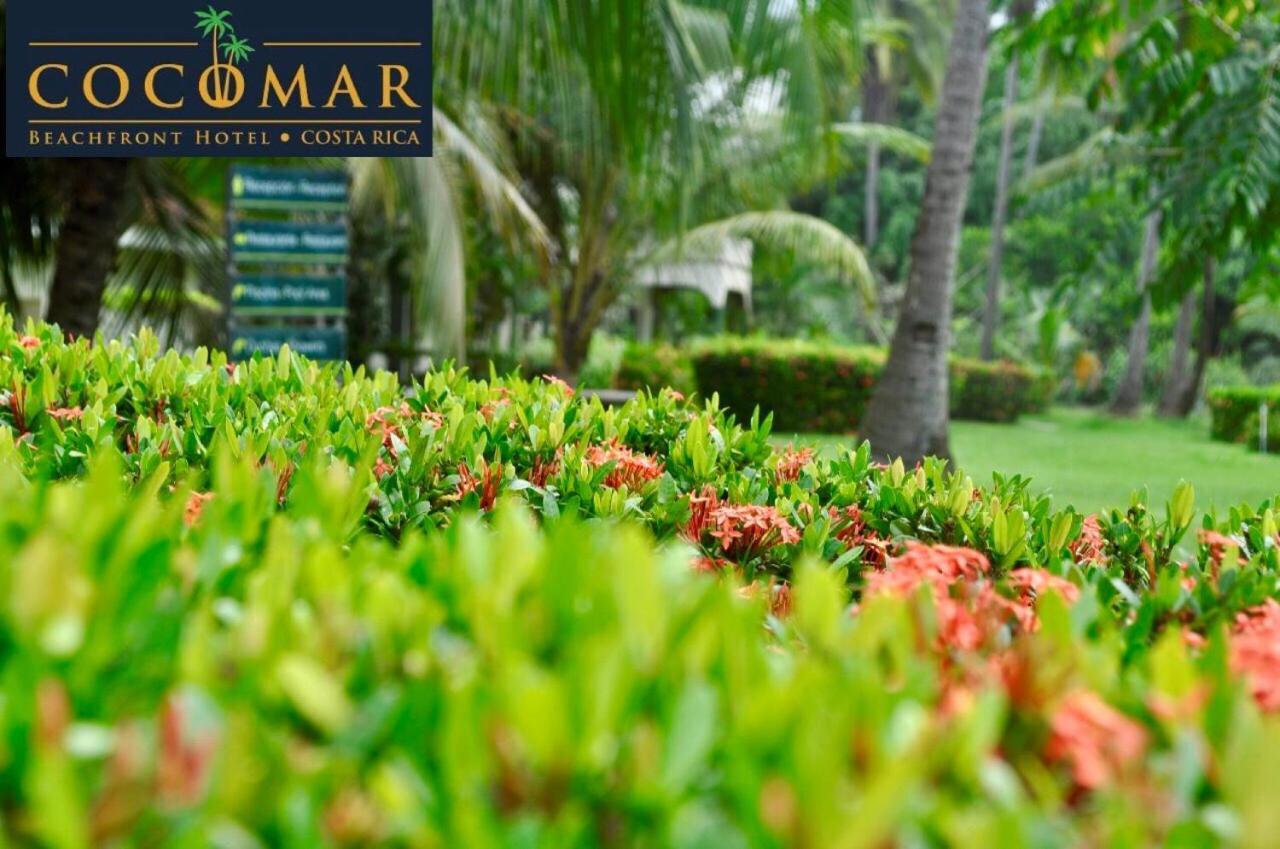 פאריטה Cocomar Beachfront Hotel מראה חיצוני תמונה