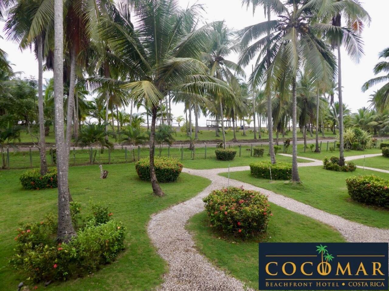 פאריטה Cocomar Beachfront Hotel מראה חיצוני תמונה