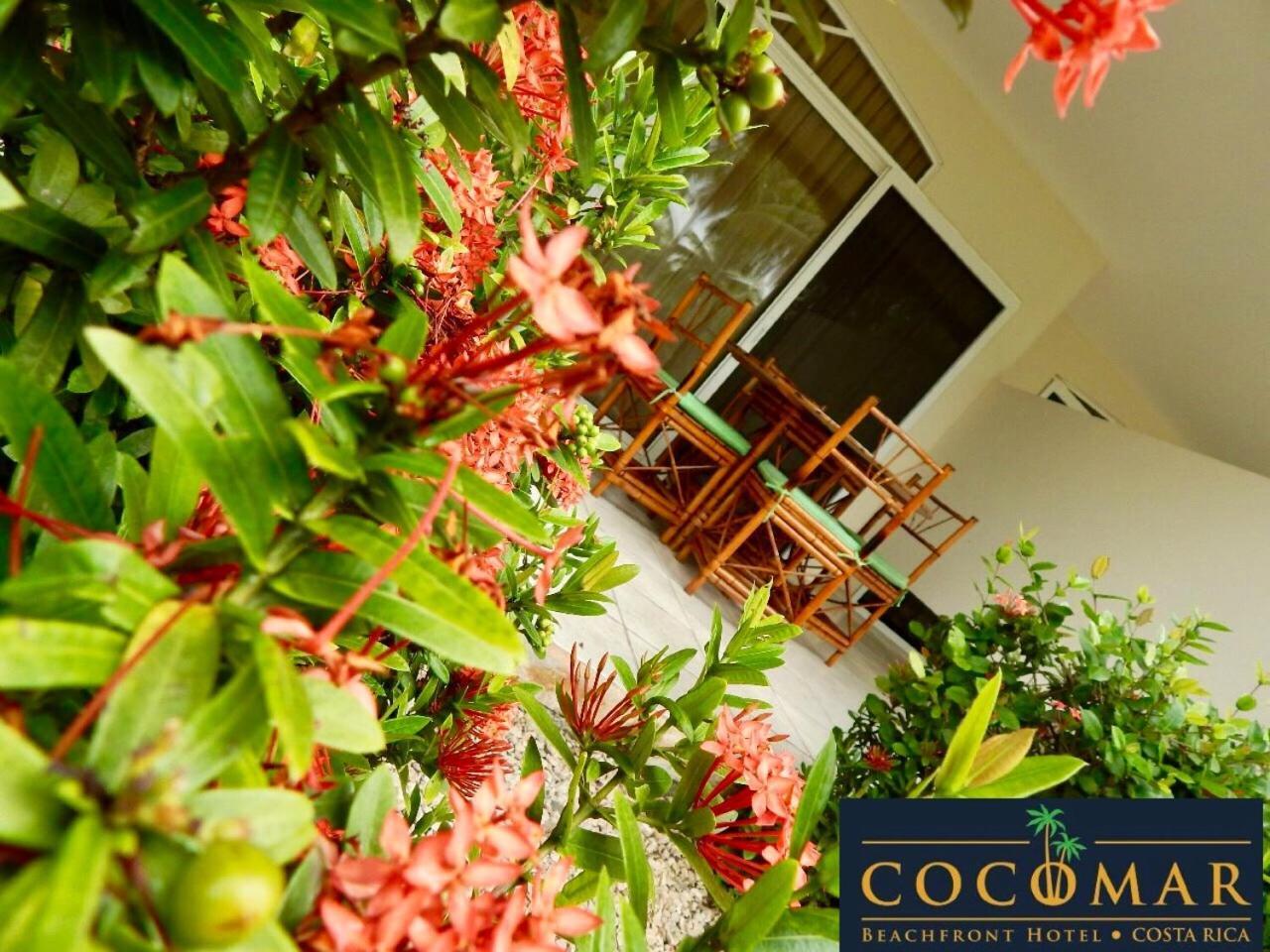 פאריטה Cocomar Beachfront Hotel מראה חיצוני תמונה
